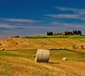 CURS REGISTRUL AGRICOL, CADASTRU SI FOND FUNCIAR